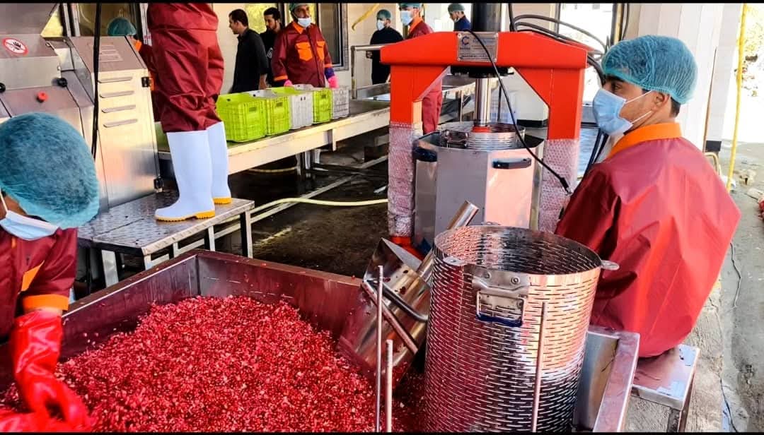 افتتاح کارخانه بزرگ پروسس انار به ارزش ۲ میلیون افغانی در قندهار