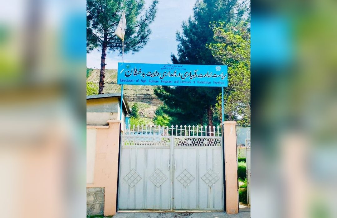آغاز پروژه بزرگ «اضطراری امنیت غذایی» در ۱۴ ولسوالی بدخشان برای مقابله با خشکسالی
