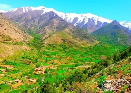 حفاری پنهانی طالبان در تپه باستانی «براتا» اندراب؛ نگرانی از غارت میراث تاریخی افغانستان   