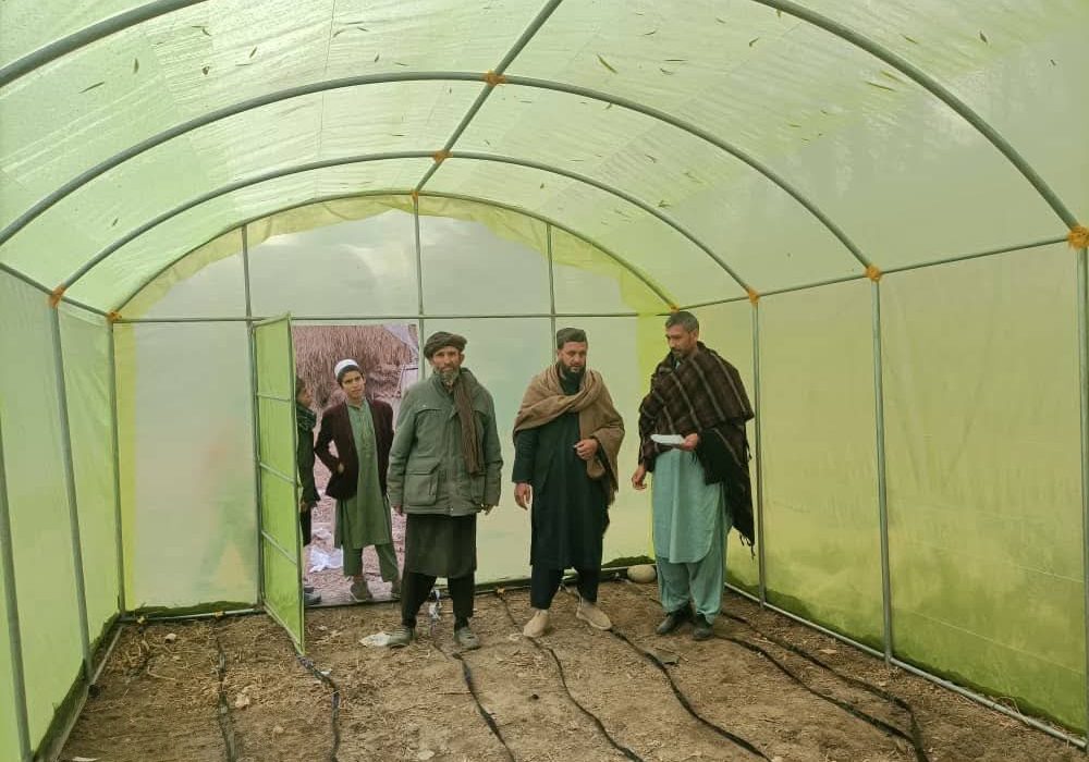آغاز احداث ۲۰ باب گلخانه متوسط در ینگیقلعه تخار با همکاری مالی دفتر میشنایست