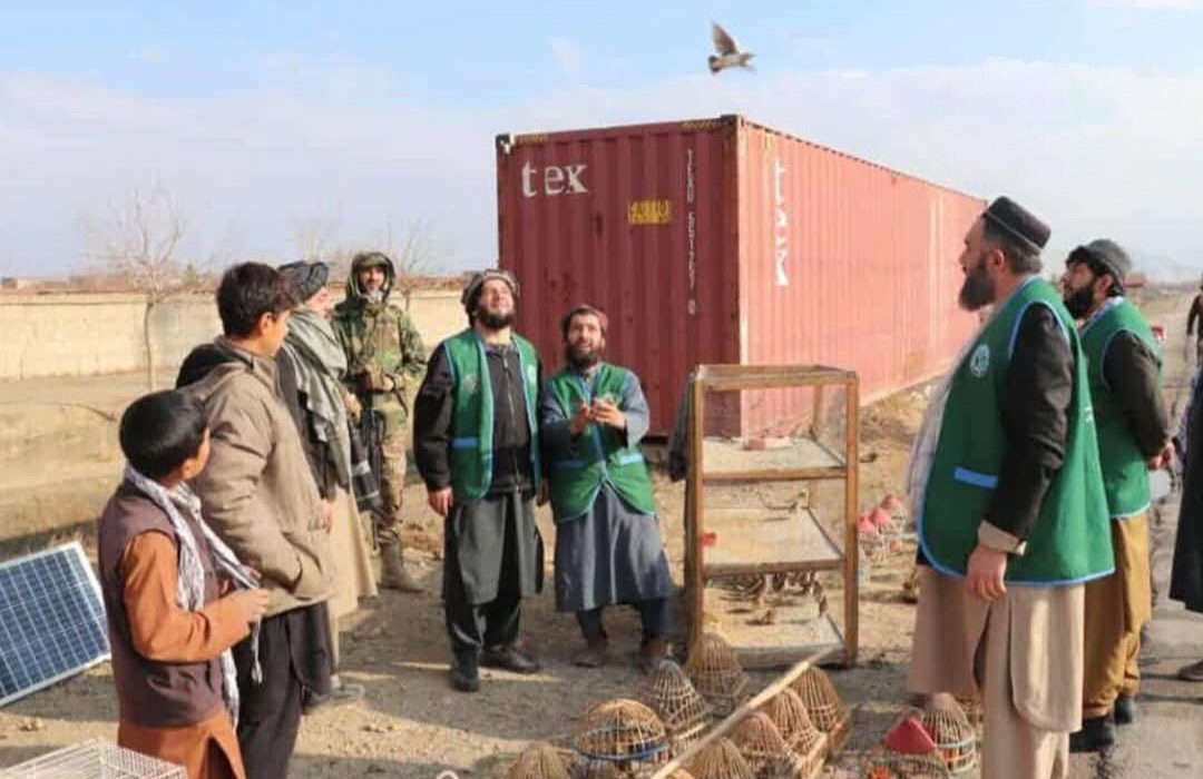 حدود ۱۸۰ پرنده شکارشده در ولایت پروان در زیستگاه طبیعیشان رهاسازی شدند