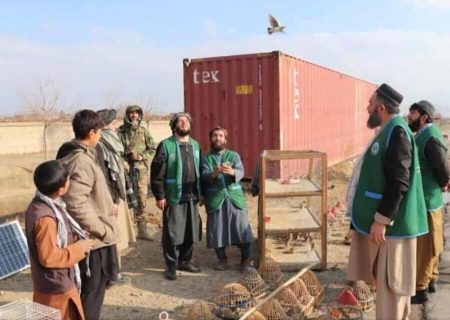 حدود ۱۸۰ پرنده شکارشده در ولایت پروان در زیستگاه طبیعی‌شان رهاسازی شدند