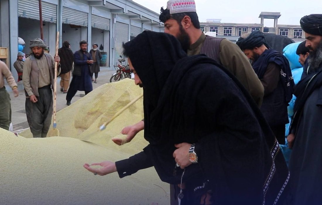 مقامهای شرکت امارتی سپینزر قندوز از مندوی غلهجات شهرک تجارتی سپینزر تالقان بازدید کردند