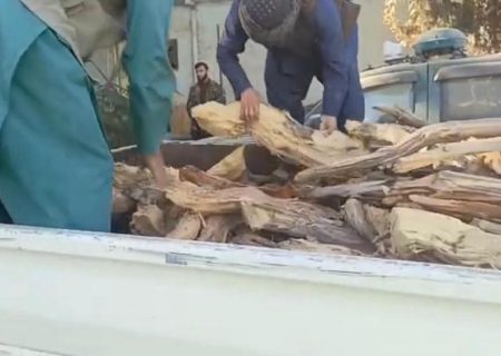 جلوگیری از قاچاق چوب جنگلی در ولسوالی نمک‌آب تخار   