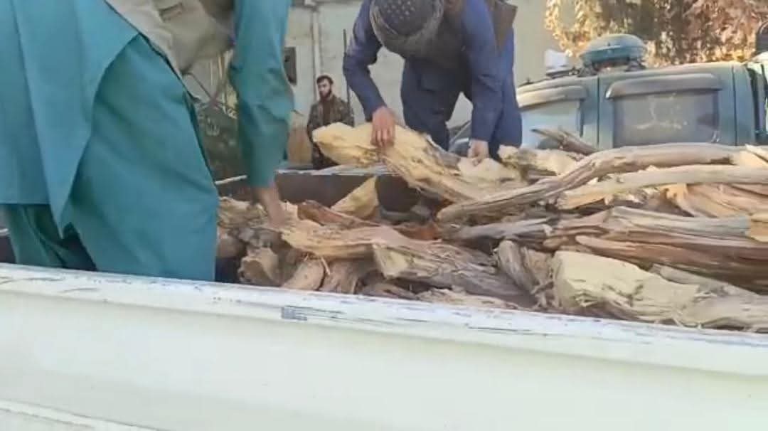 جلوگیری از قاچاق چوب جنگلی در ولسوالی نمکآب تخار