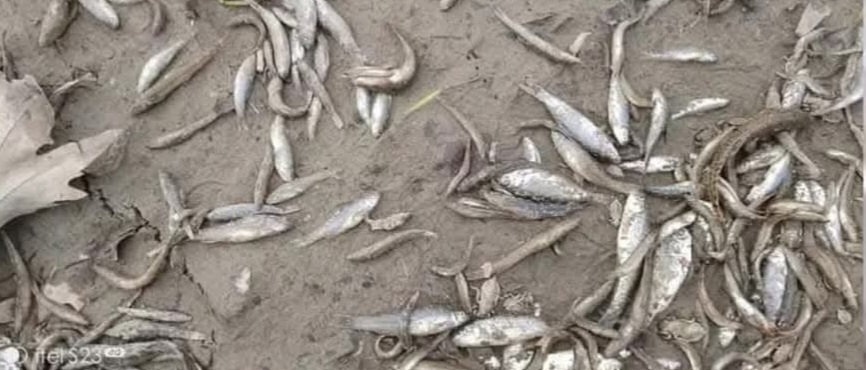 باشندگان ولسوالی چاهآب از تخریب مسیرهای آب و آسیب به کشاورزی در پی استخراج طلا شکایت دارند