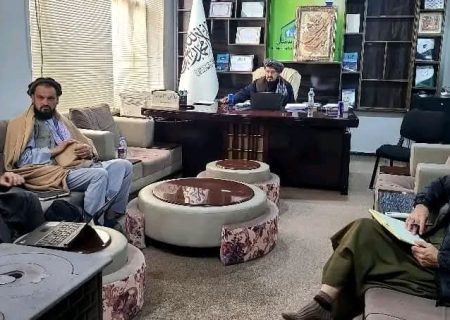 چهار میلیون افغانی برای احیای جنگلات و اشتغال موقت دهقانان بدخشان اختصاص یافت