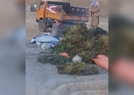 بازداشت دو تن با مقدار زیاد مواد مخدر در خاش بدخشان