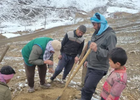 آغاز کارزار گسترده کاشت بادام و بذرهای جنگلی در تمام ولسوالی‌های بامیان