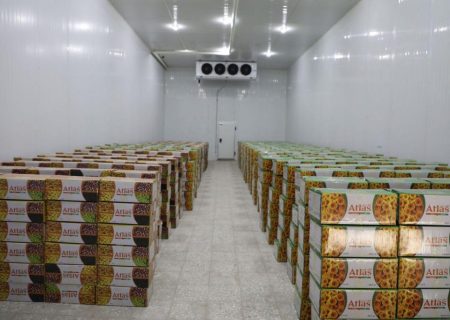 ساخت ۲۲ سردخانه معیاری با ظرفیت ۲۶ هزار متریک تُن در سراسر کشور جریان دارد
