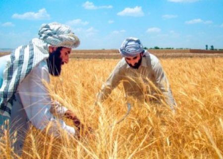 حمدالله فطرت: در یک سال گذشته نزدیک به ۲ میلیارد افغانی کمک مالی به دهاقین و مالداران صورت گرفته است