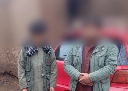 بازداشت دو تن به اتهام سرقت مواشی در ولایت تخار