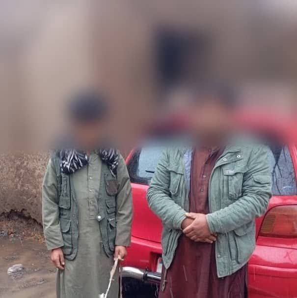 بازداشت دو تن به اتهام سرقت مواشی در ولایت تخار