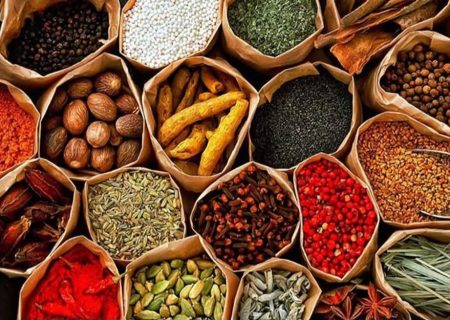 افزایش چشم‌گیر صادرات گیاهان دارویی هرات؛ صادرات ۲۲ هزار تُن در ۹ ماه