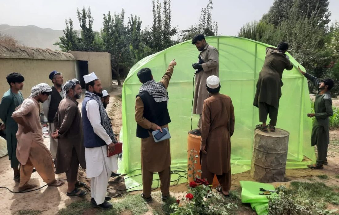 احداث ۵۵ باب گلخانه معیاری در تخار؛ گامی مؤثر برای تقویت اقتصاد خانوادهها و امنیت غذایی