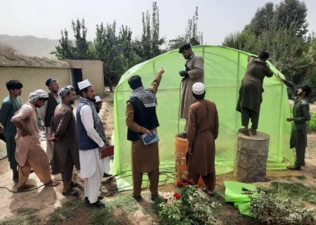 احداث ۵۵ باب گلخانه معیاری در تخار؛ گامی مؤثر برای تقویت اقتصاد خانواده‌ها و امنیت غذایی