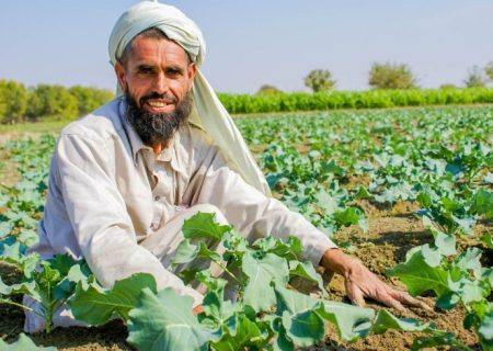 آمادگی ایران برای خرید تضمینی محصولات کشاورزی افغانستان
