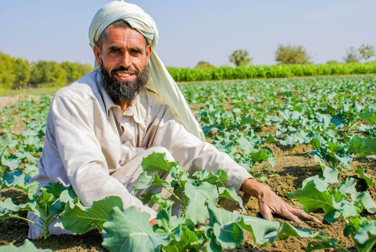 آمادگی ایران برای خرید تضمینی محصولات کشاورزی افغانستان
