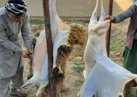 بستن دکان‌های قصابان شیعه در ولایت غزنی؛ منابع از منع ذبح توسط طالبان خبر می‌دهند