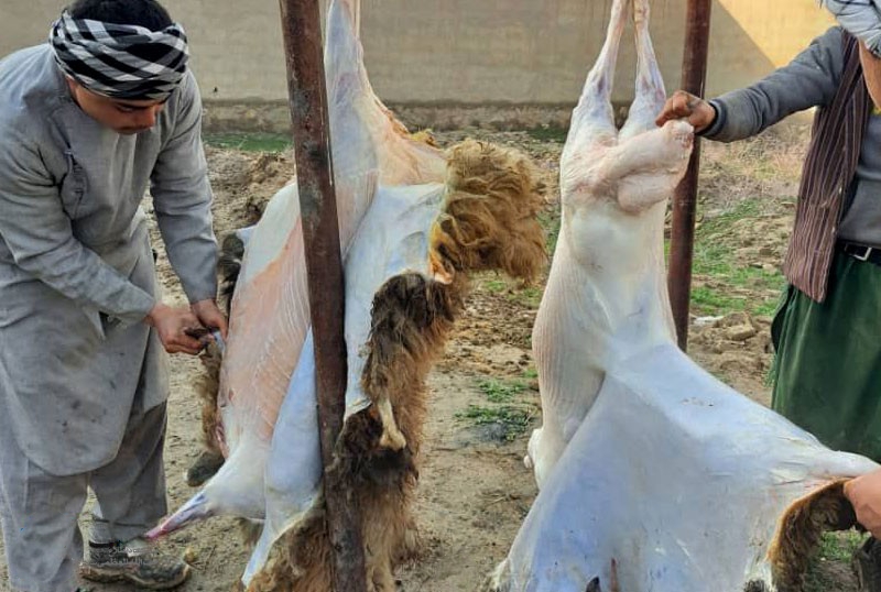 بستن دکانهای قصابان شیعه در ولایت غزنی؛ منابع از منع ذبح توسط طالبان خبر میدهند