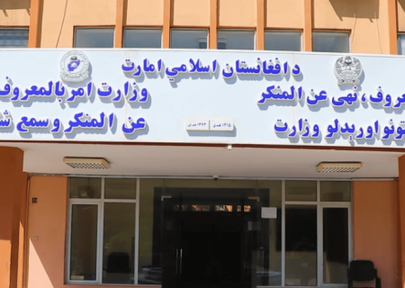 رسیدگی وزارت امر به معروف طالبان به ۱۲ قضیه خشونت علیه زنان در ۶ ولایت افغانستان