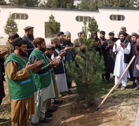 آغاز کمپاین نهالشانی سال ۱۴۰۵ در ولایت بغلان با هدف حفاظت از محیط زیست