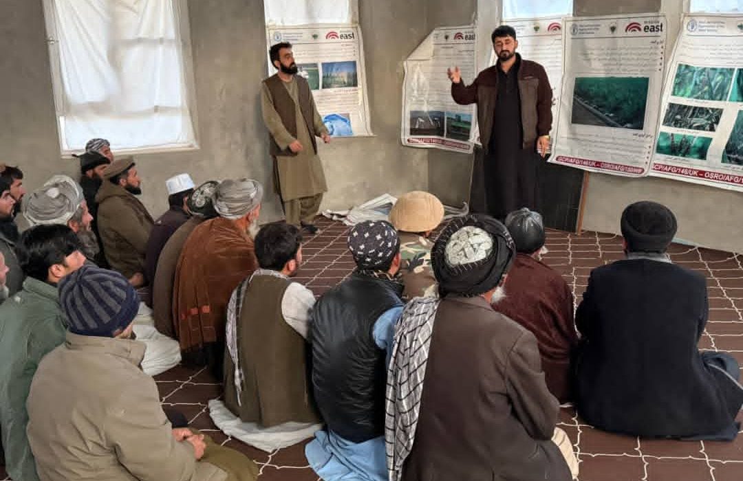 برنامه آموزشی کشت گندم به سیستم خطی برای ۳۹۰ دهقان در ولسوالی چاهآب تخار برگزار شد