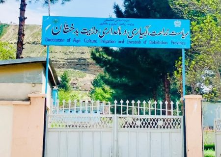 آغاز تحقیقات علمی میوه‌جات در فارم کوکچه فیض‌آباد؛ گام تازه برای تحول باغداری بدخشان