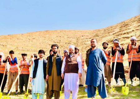 تطبیق برنامه «پول در بدل کار» در تخار؛ اشتغال ۹۰۰ کارگر و غرس ۶ هزار نهال در شهر تالقان