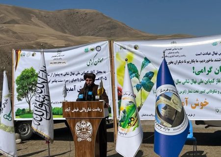 کمپاین گسترده نهال‌کاری در شهر فیض‌آباد بدخشان برگزار شد