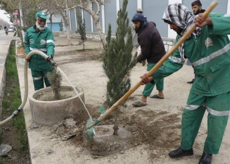 کمپاین نهال‌شانی در شهر قندوز با غرس صدها اصله نهال