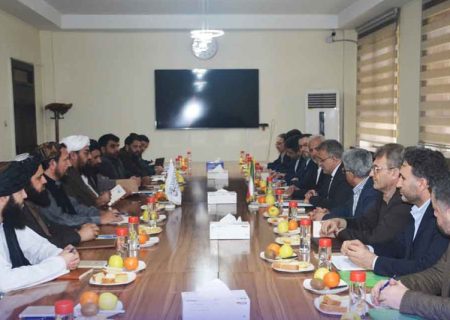 ایران آمادگی خود را برای سرمایه‌گذاری در معادن افغانستان اعلام کرد