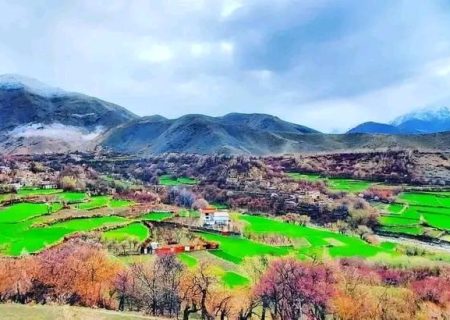 طالبان از کشف ذخایر گسترده طلا در ولسوالی پریان پنجشیر خبر دادند