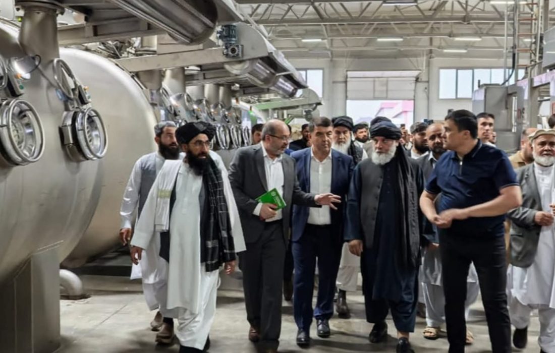 بازدید وزیر صنعت و تجارت طالبان از فارم کشت پنبه و کارخانه‌های نساجی اوزبیکستان