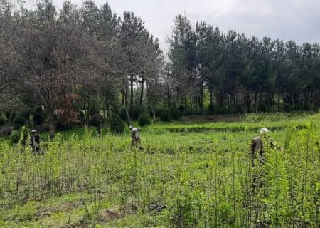 آغاز پروژه ۵۶۸ هزار دالری برای بهبود معیشت مالداران در بدخشان