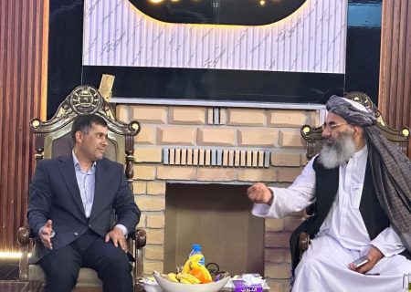 تأکید بر گسترش همکاری‌های اقتصادی و مرزی در دیدار والی بدخشان با مقامات سفارت تاجیکستان