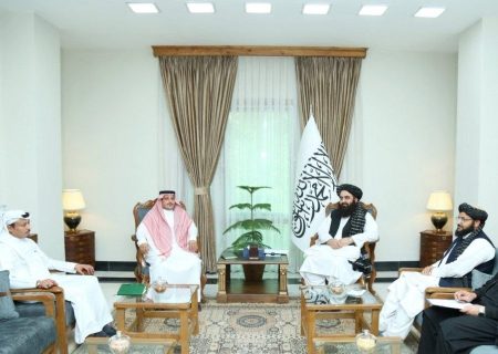 امیرخان متقی با سفیر عربستان در کابل دیدار و گفتگو کرد