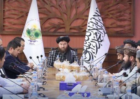 گسترش همکاری‌های زراعتی میان افغانستان و اوزبیکستان/ تمرکز بر سرمایه‌گذاری و تکنالوژی نوین