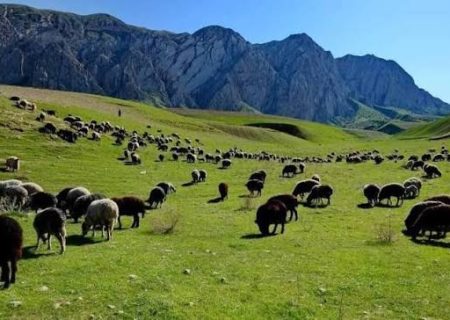 والی بدخشان: بیش از ۱۴ میلیون جریب علفچر عامه در بدخشان تثبیت شده است