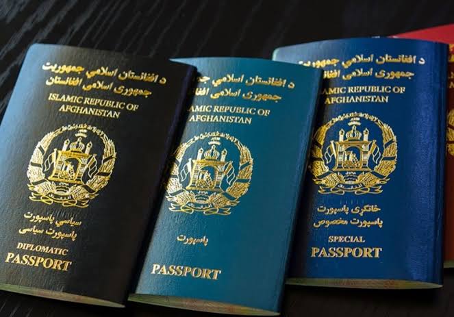 اداره مهاجرت ایران، اقامت مهاجران را بدون نیاز به مراجعه حضوری تمدید کرد