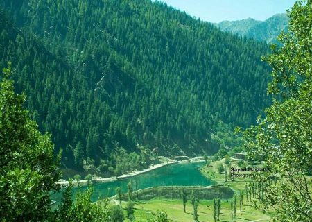 افزایش ۳۵ درصدی جنگل‌های افغانستان