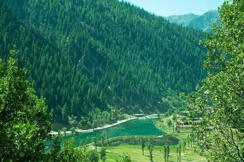 افزایش ۳۵ درصدی جنگلهای افغانستان