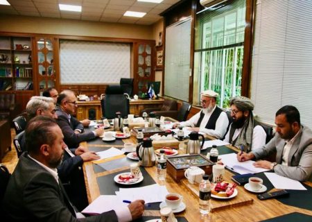 مشکلات بیمه درمانی مهاجرین افغانستانی در دیدار سفارت طالبان با مقام‌های ایرانی بررسی شد