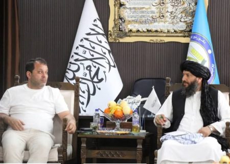 اوزبیکستان خواهان سرمایه‌گذاری در بخش زراعت و تولید کچالو در بامیان شد