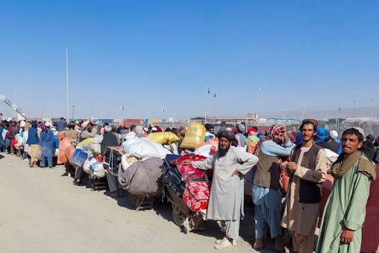 اخراج بیش از ۵۵ هزار مهاجر افغانستانی از پاکستان در سه ماه نخست ۲۰۲۶