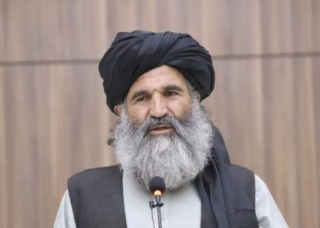 تأکید طالبان بر معیشت بدیل برای جلوگیری از گسترش مواد مخدر در افغانستان