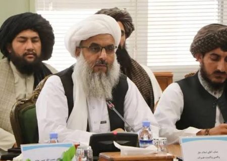 طالبان گزارش بازداشت زنان و تیراندازی به معترضان در هرات را رد کردند