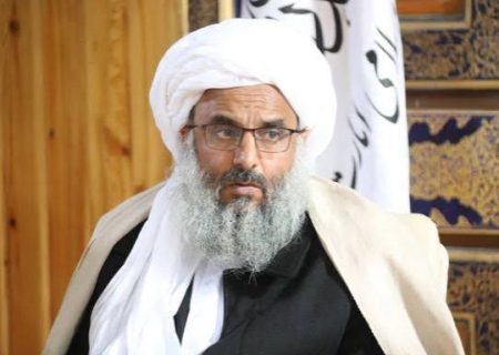 سفر والی طالبان در هرات به کابل پس از دو روز اعتراضات مردمی