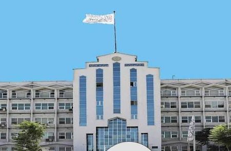 وزارت عدلیه طالبان ۱۴.۵ جریب زمین را در جوزجان دولتی اعلام کرد