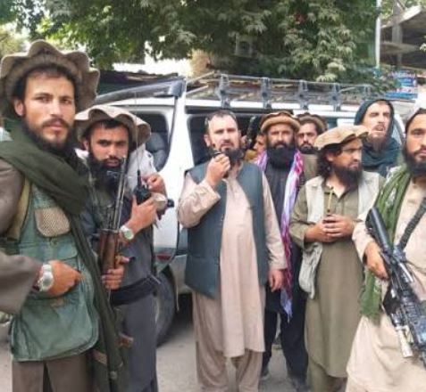 طالبان برای عملیات بزرگ در بدخشان آماده میشود؛ ارسال نیروی و حضور فرماندهان ارشد